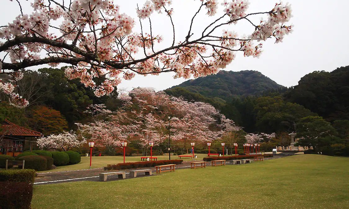 🏞️ 서계 공원(세이케이 코эн) 이미지 10